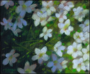 malham flowers 25&middot;20
SOLD